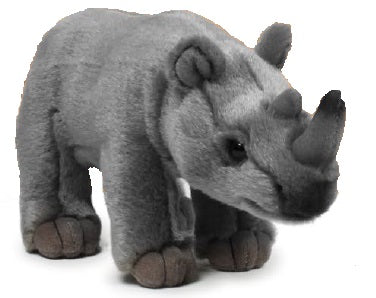 Bring Me Home - Rhino |  帶我回家 - 犀牛