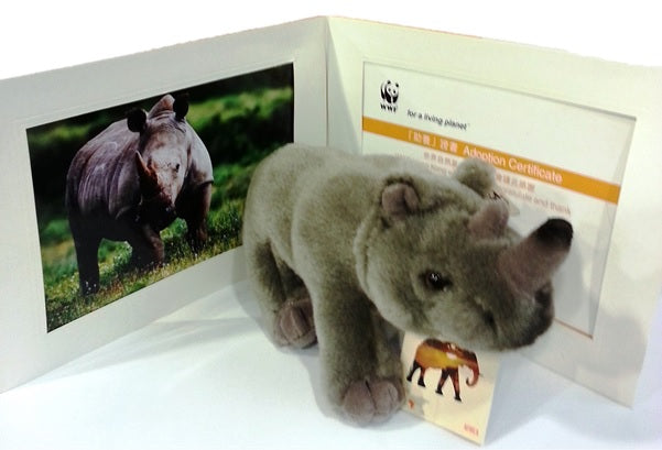 Bring Me Home - Rhino |  帶我回家 - 犀牛