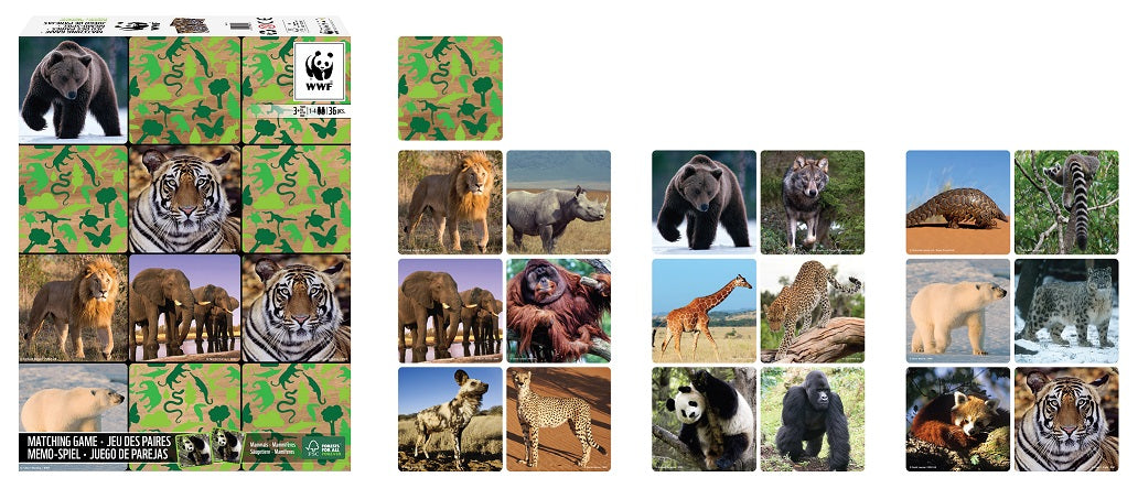 WWF Matching Game | WWF 記憶遊戲咭