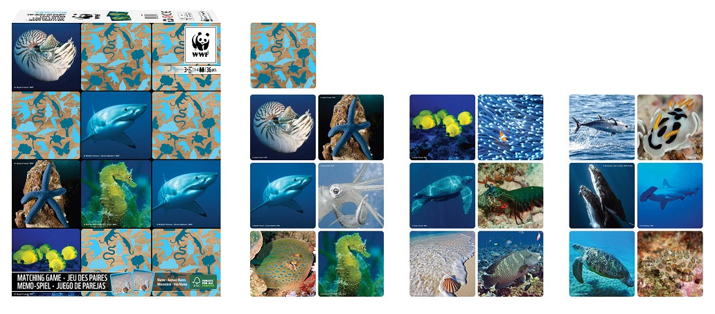 WWF Matching Game | WWF 記憶遊戲咭