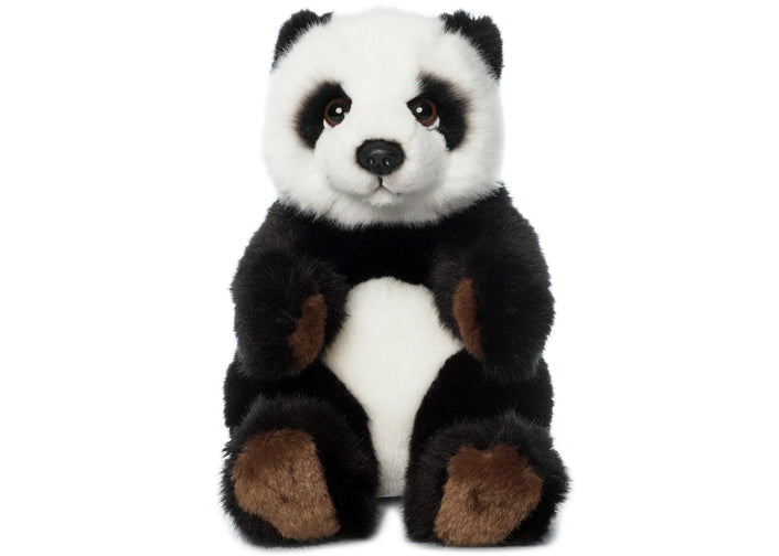 Bring Me Home - Panda |  帶我回家 - 熊貓